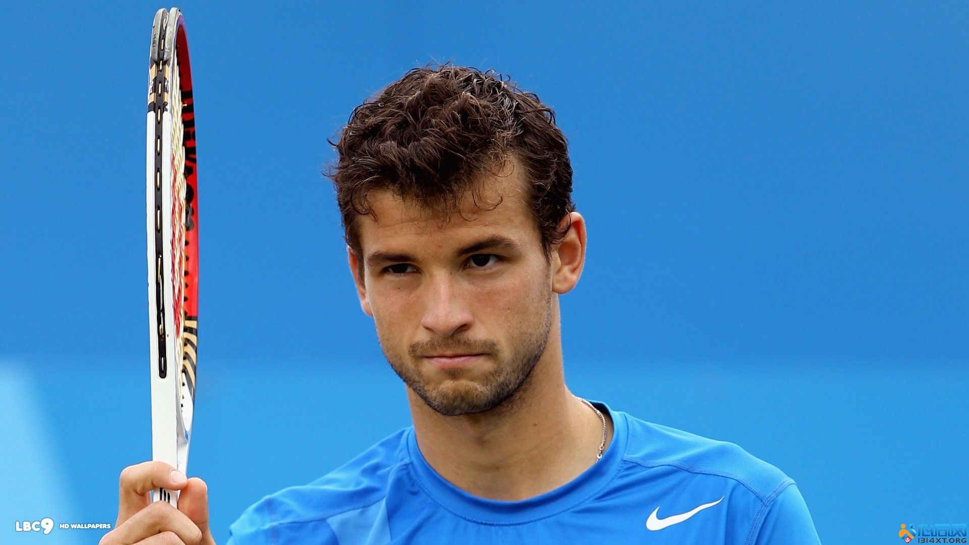 全新地图 全新地图