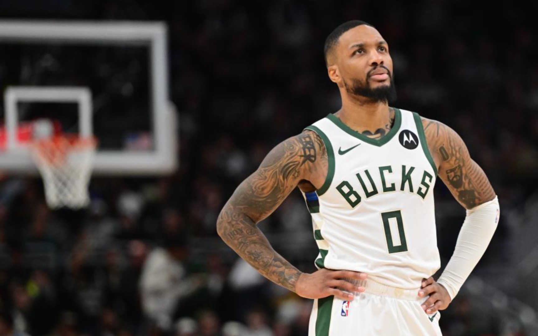 不少媒体给 不少媒体给